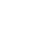 Free Spin